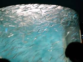 ������������