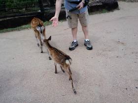 ����������